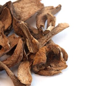 Porcini Mushrooms - Shrooms For Sale Canada