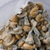 Blue Meanie Mushroom - Shrooms Near Me